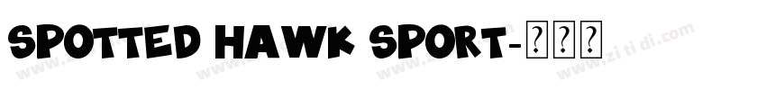 SPOTTED HAWK SPORT字体转换